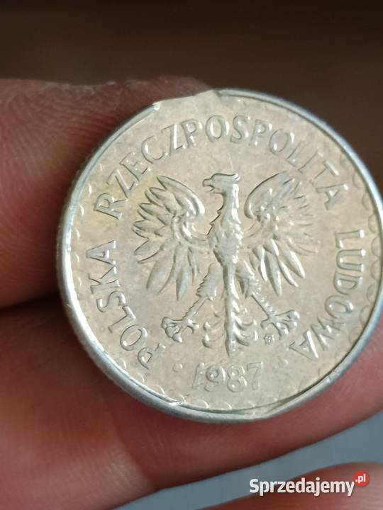 Sprzedam monete 1 zloty 1987 odkroj blachy gggg Chełm