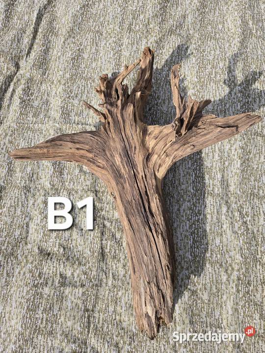 Korzeń ozdobny do domu ogrodu akwarium Trzciel