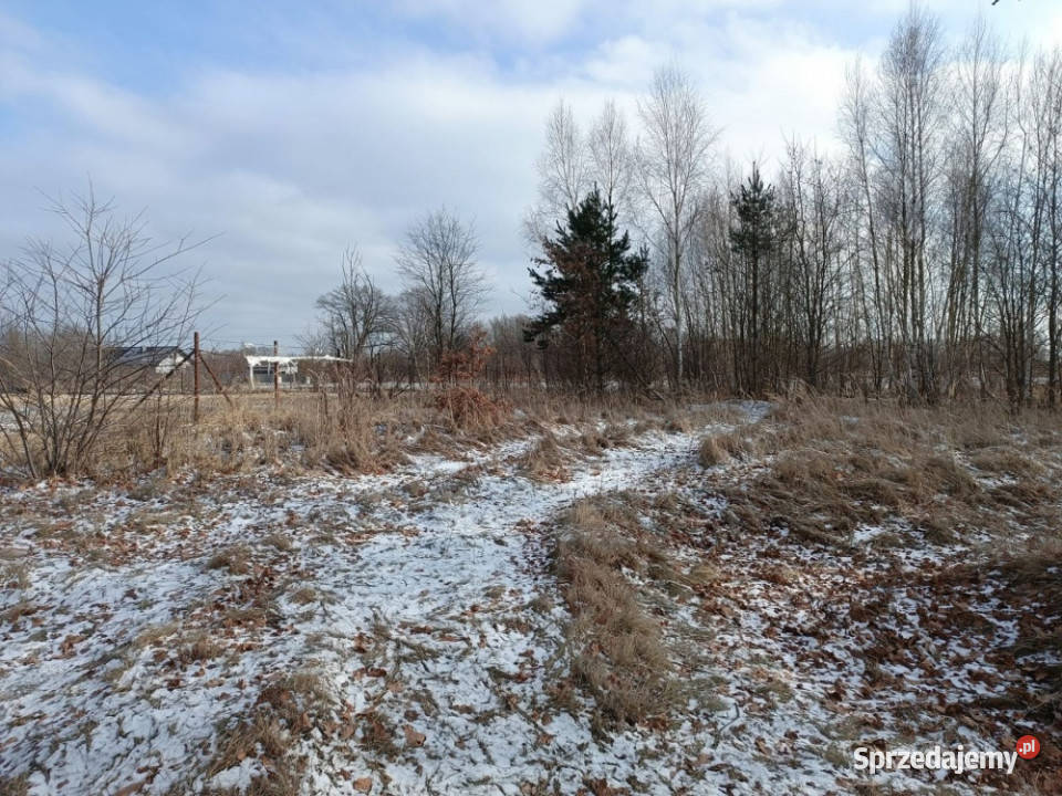 Sprzedam 2 działki Jedna zabudowana Chocianów sprzedam
