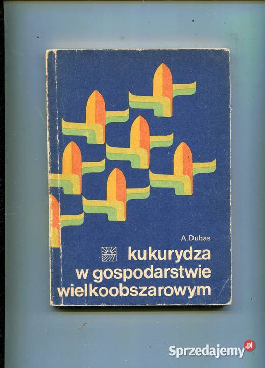 Kukurydza w gospodarstwie wielkoobszarowym Dubas zachodniopomorskie Szczecin