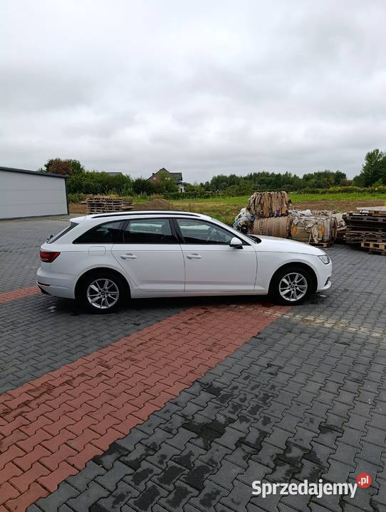 Audi a4 b9 kombi Krosno