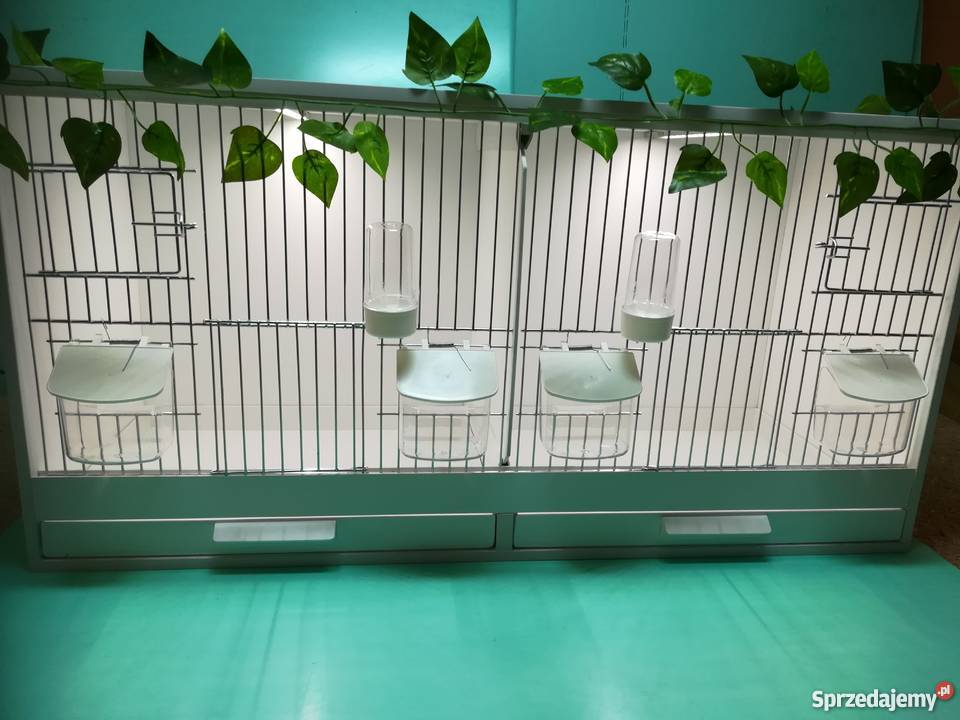 Klatka hodowlana Toruń
