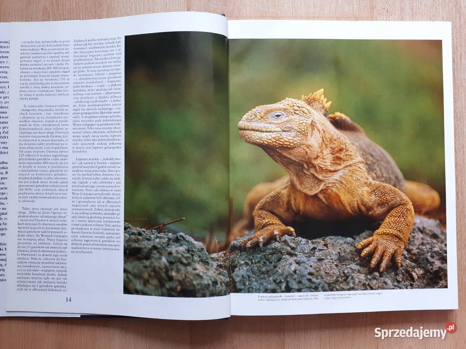 Skarby przyrody Poradniki, albumy i reportaże śląskie Rybnik