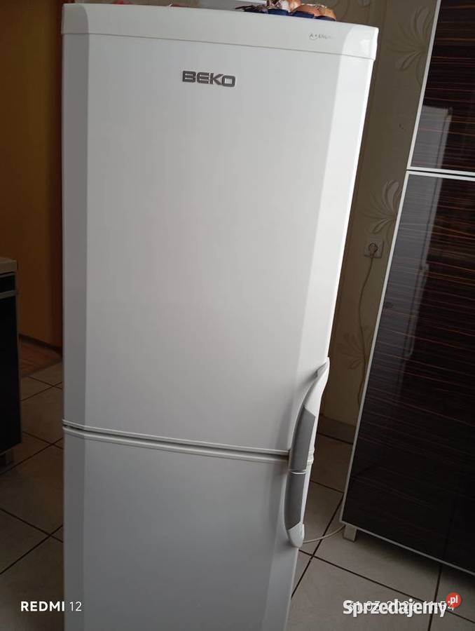 Lodówka Beko A Bytom