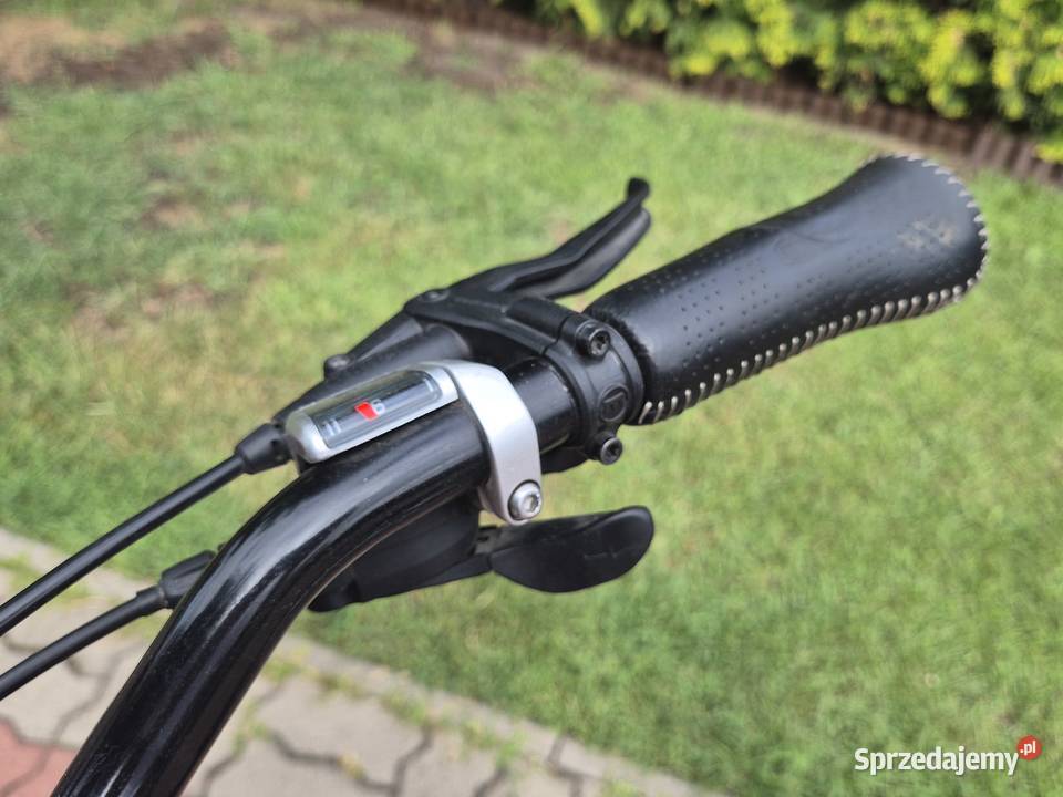 Rower Gazelle Ultimate C11 Alfine 11 Rama H53