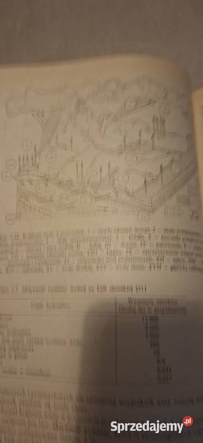 Podstawy ochrony środowiska PWN 1985 rzadkie wielkopolskie Łęczyca sprzedam