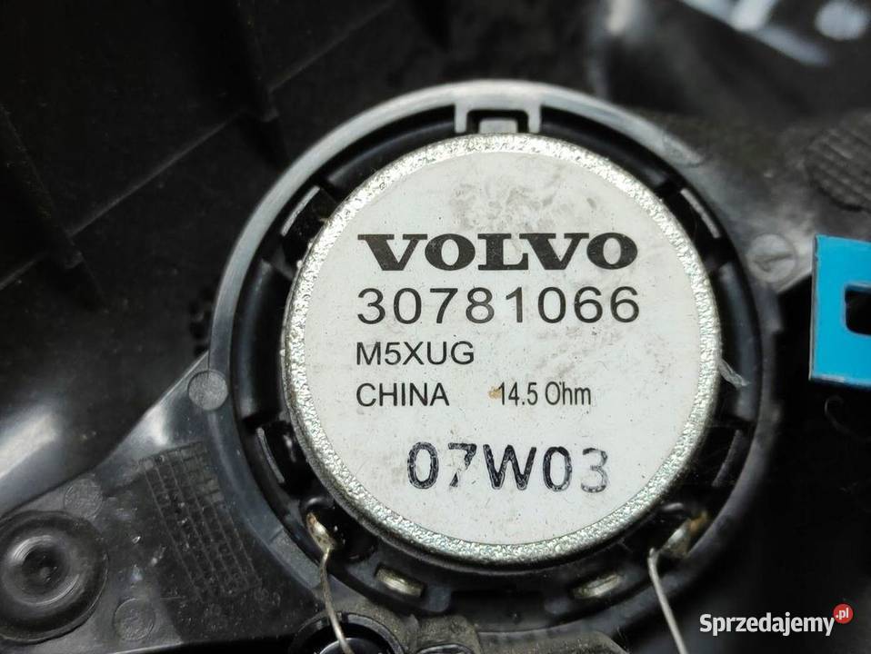 Zaślepka Osłona Trójkąt Lusterka Głośnik Drzwi Pleszew