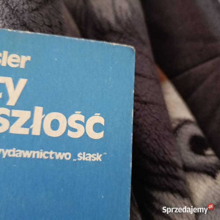 Mosty w przeszłośćarcheologiczne sensacje Poznań