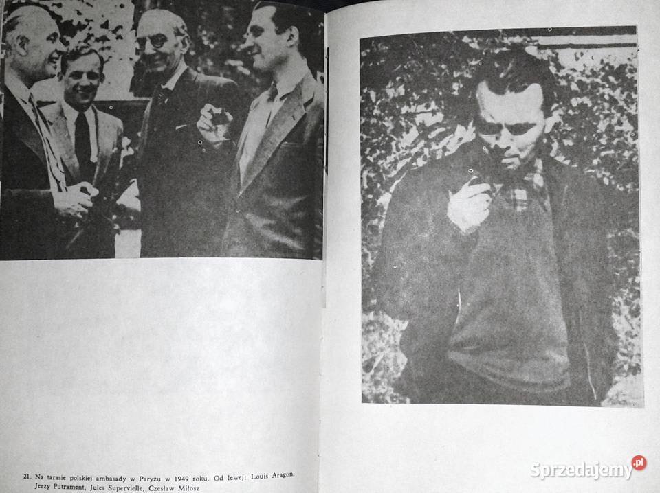 Rozmowy z Czesławem Miłoszem Aleksander Fiut Chełm