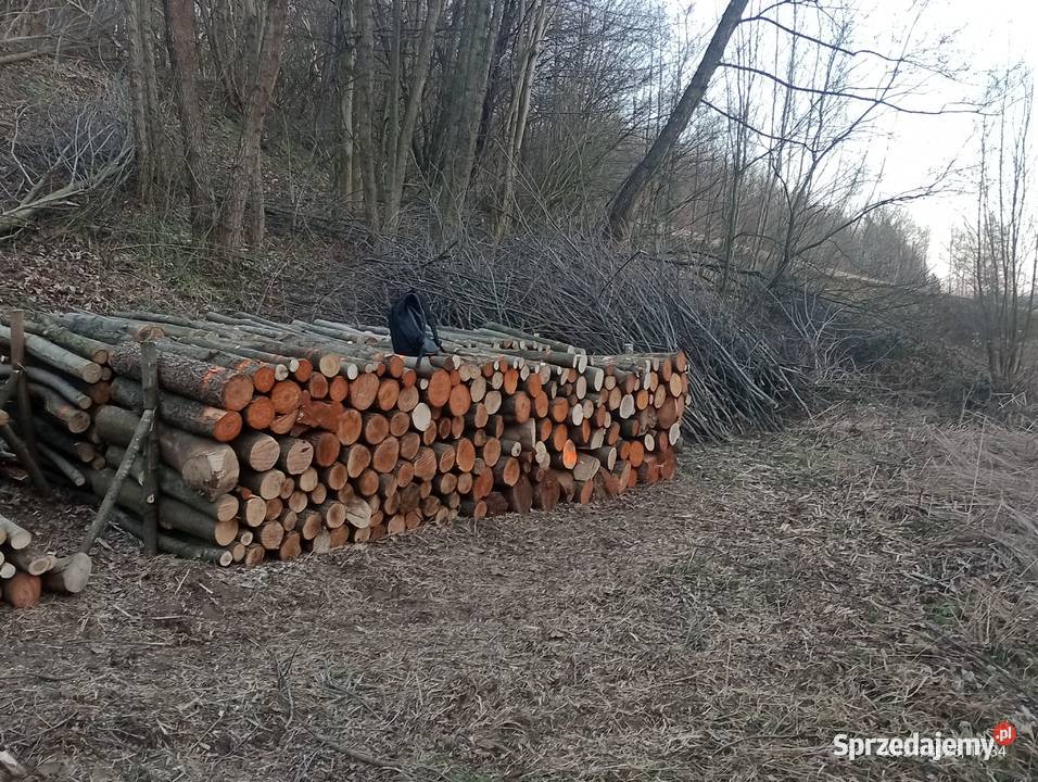 Drewno opałowe olcha jawor Pozostałe Rzeszów sprzedam