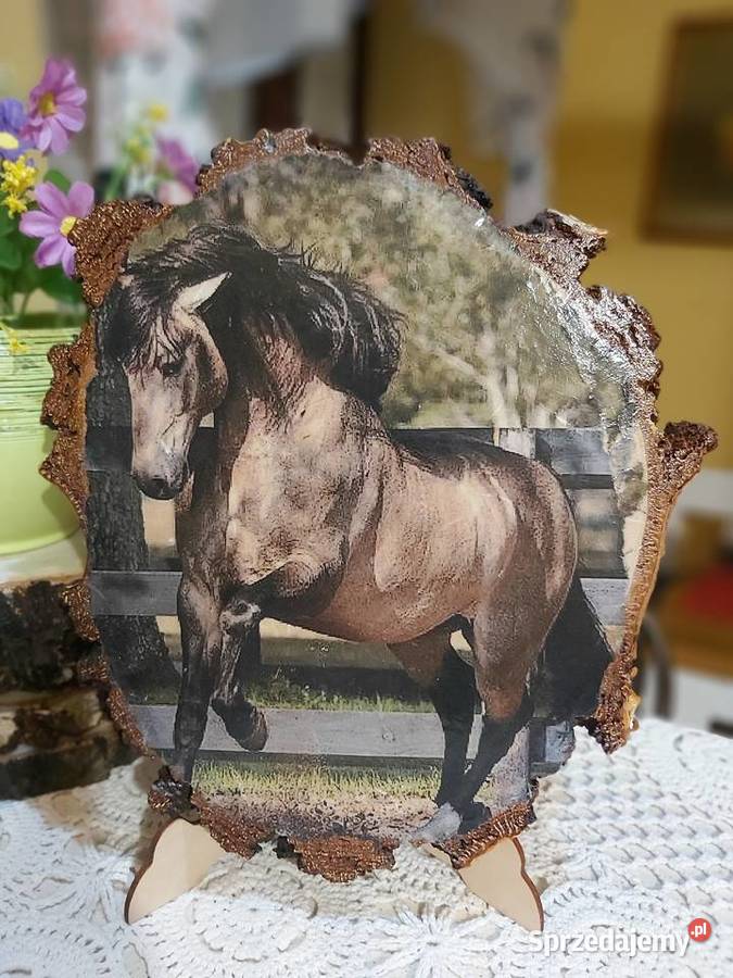 Obrazki miłośników koni podkarpackie Dobrzechów