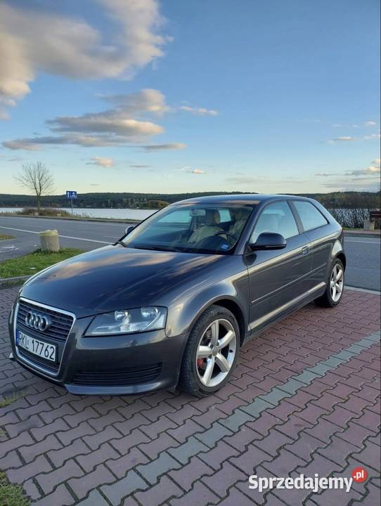 Audi A3 8P 2010 Młynek
