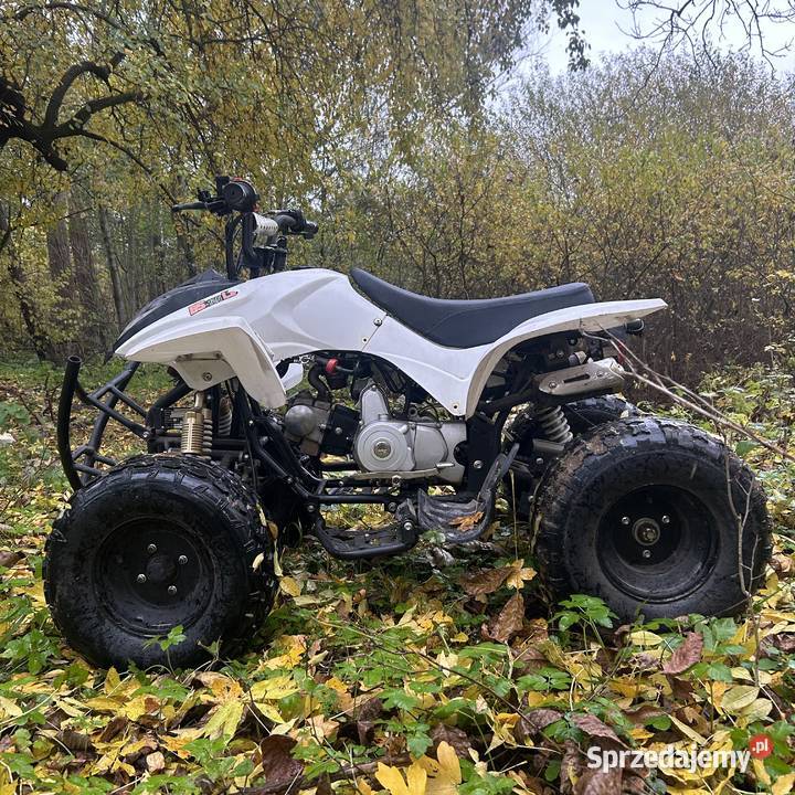 Quad 125 automat super stan duża rama Pozostałe Popielów