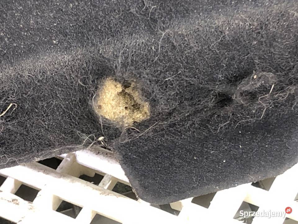 WYGŁUSZENIE MASKI VW PASSAT B8 SedanLimuzyna