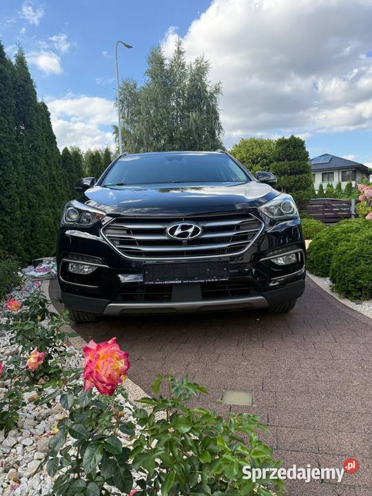 Hyundai Santa Fe III 22 2017 blue Premium 4x4 2200cm3 Santa Fe Konin