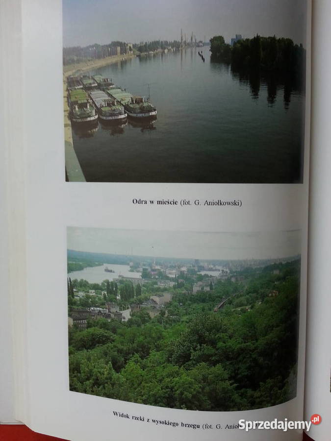 2965 Stan Środowiska Miasta I Rejonu Szczecina Szczecin