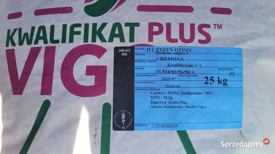 Pszenżyto ozime Fanfaro 2025 łódzkie Skierniewice