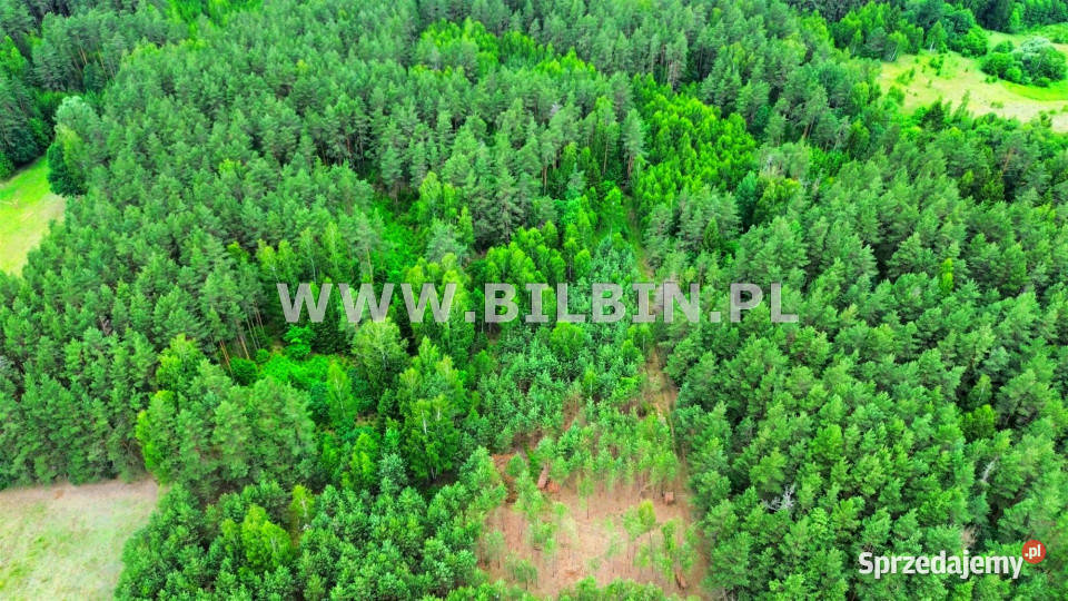 Działka Gawiniańce 3128m2 sprzedam