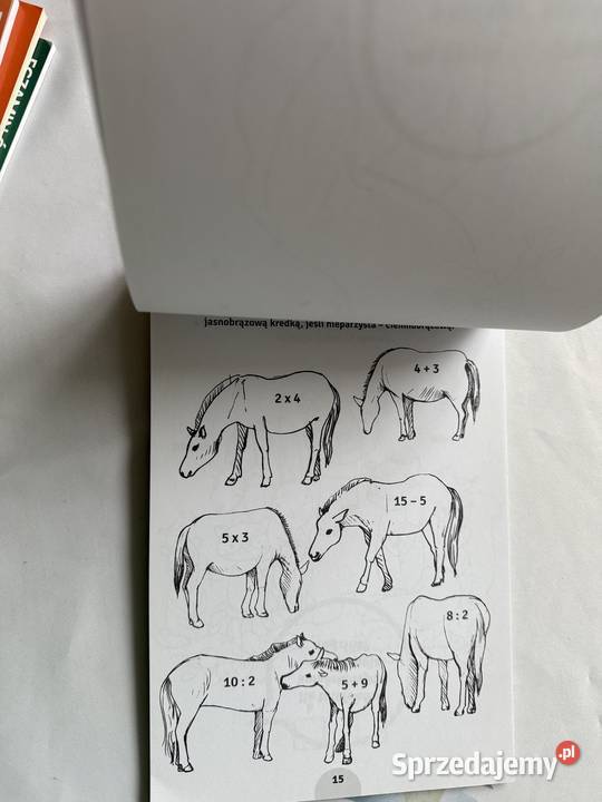 Matematyczna kolorowankazwierzeta