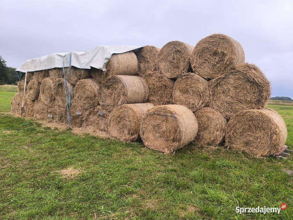 Słoma Pszenna mazowieckie sprzedam