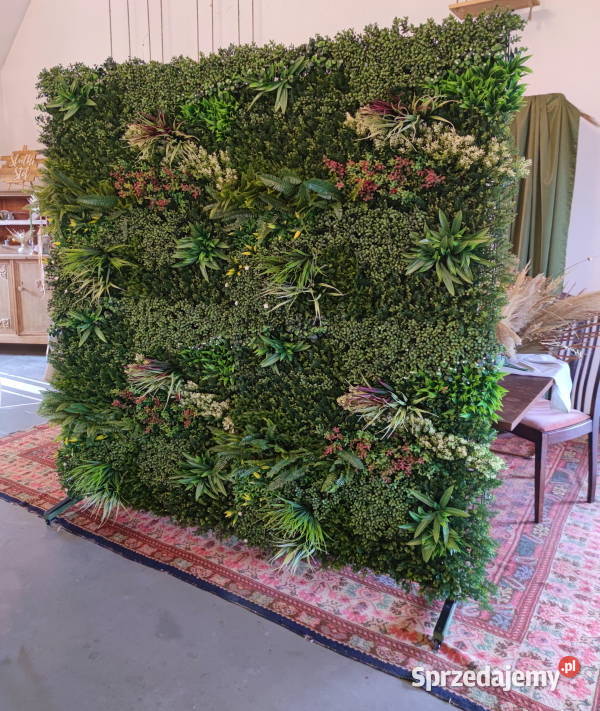 Zielona ściana Dekoracje weselne Ścianka do Panele dekoracyjne wielkopolskie Poznań