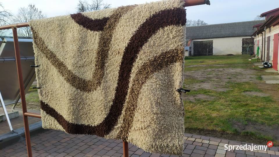 Dywan Dywany Gołowierzchy sprzedam