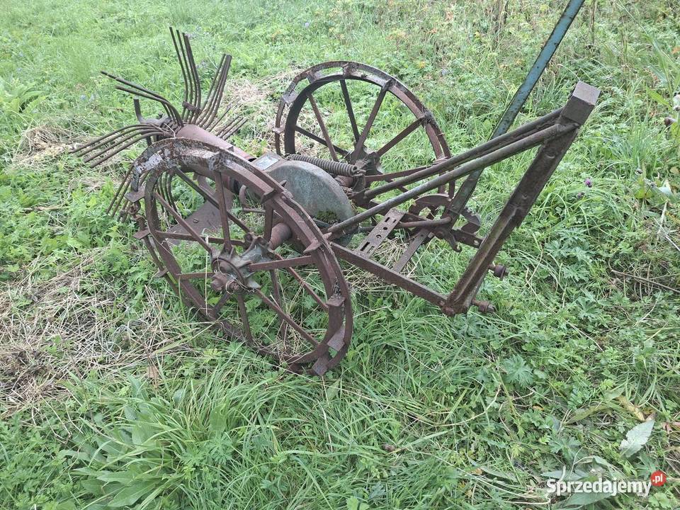 Kopaczka elewatorowa do ziemniaków Busko-Zdrój