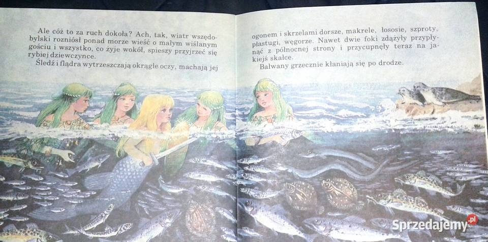 Legenda o tarczy i mieczu Hanna Łochocka Chełm