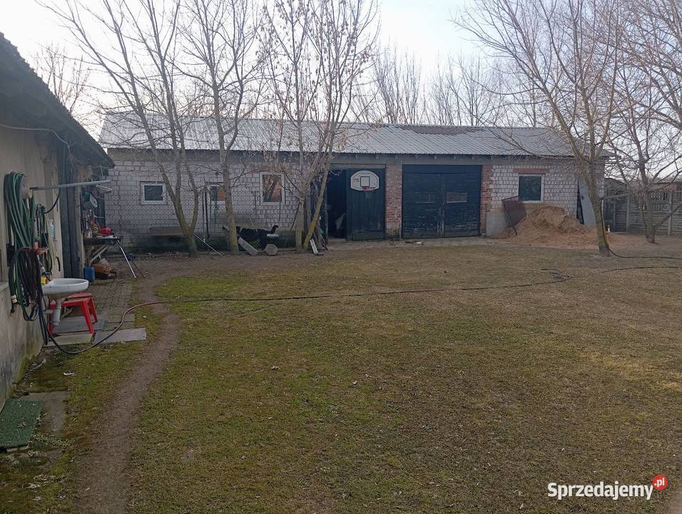 Sprzedam gospodarstwo rolne 5 hektarów z 500000m2 Łask