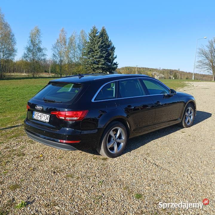 Audi a4 b9 20 tdi 2016 Pilzno