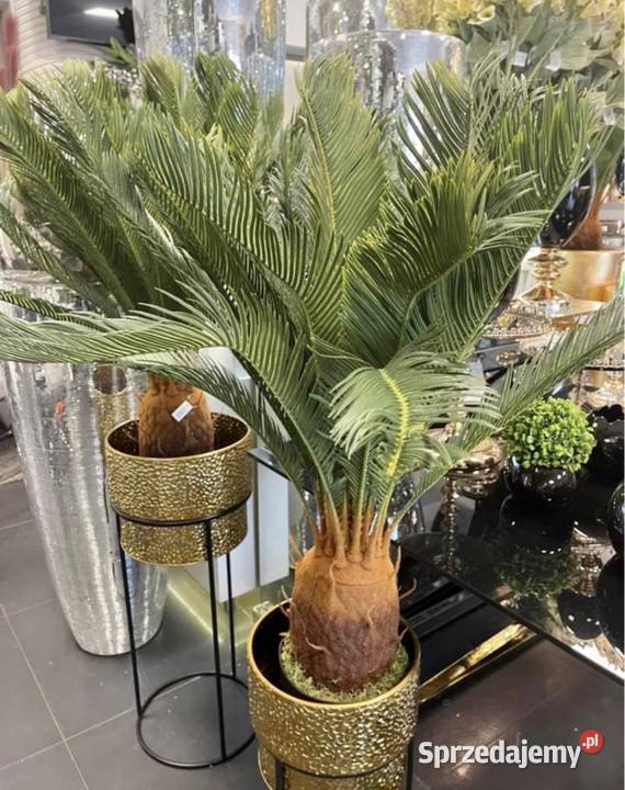 Sztuczna palma jakość Premium w doniczce duża Nowy Sącz