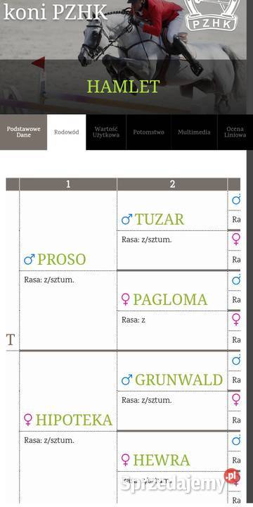 Ogiery na sprzedaż Mrągowo