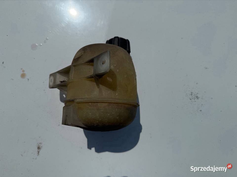 Zbiorniczek wyrównawczy Renault Clio II