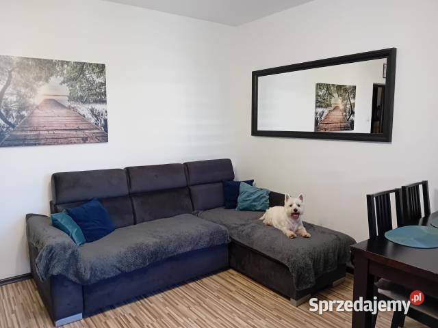 sprzedaży mieszkania Pruszków 439m2 2pok Mieszkania