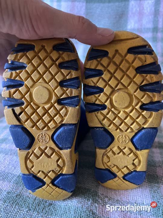 Gumiaki małopolskie