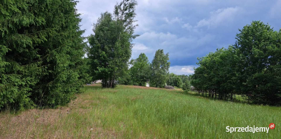 Sprzedam piękną działkę 6000 m2 Cisza i spokój Luta