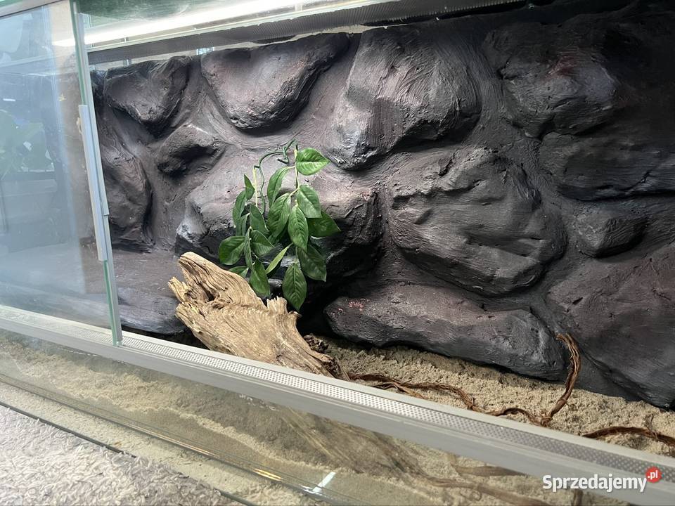 Terrarium 120x40x50 Terrarystyka Sopot