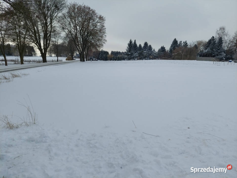 Strzelce Działka do zabudowy siedliskowej