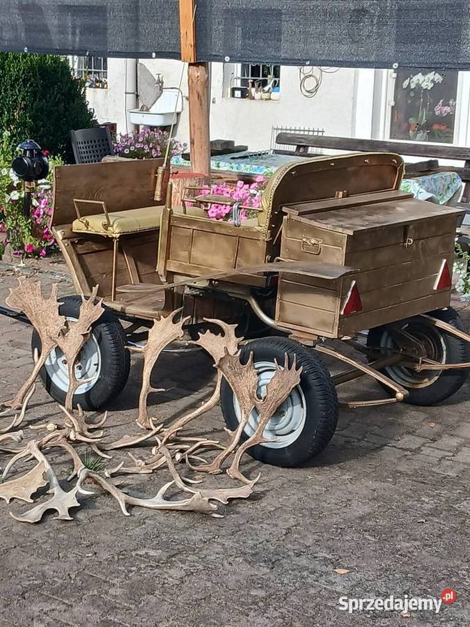 Daniele rogi Kalisz Pomorski