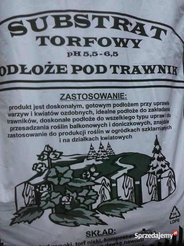 KORA SOSNOWA MAZOWIECKIE WARSZAWA GRÓJEC PODKOWA mazowieckie