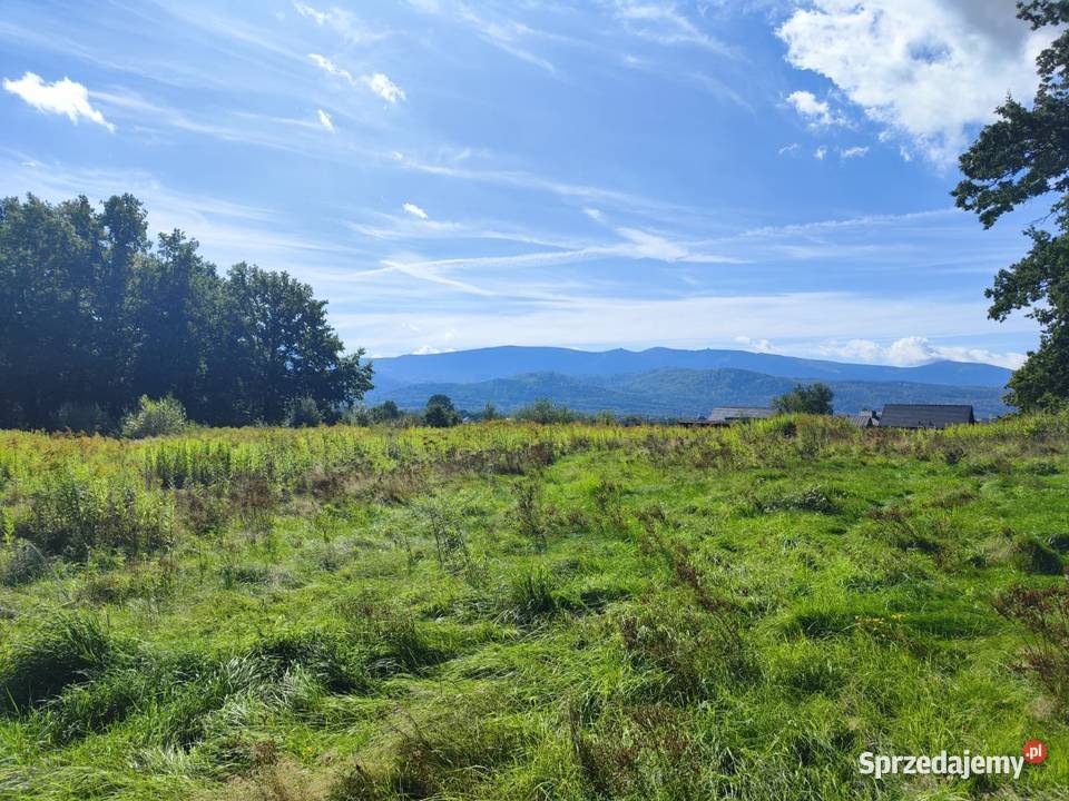 Działka z widokiem na Karkonosze TOP budowlana Wojcieszyce
