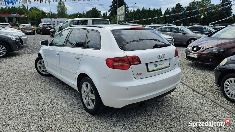 Audi A3 Oszczędny 12 Benzyna Przebieg 198 biały dolnośląskie Świdnica