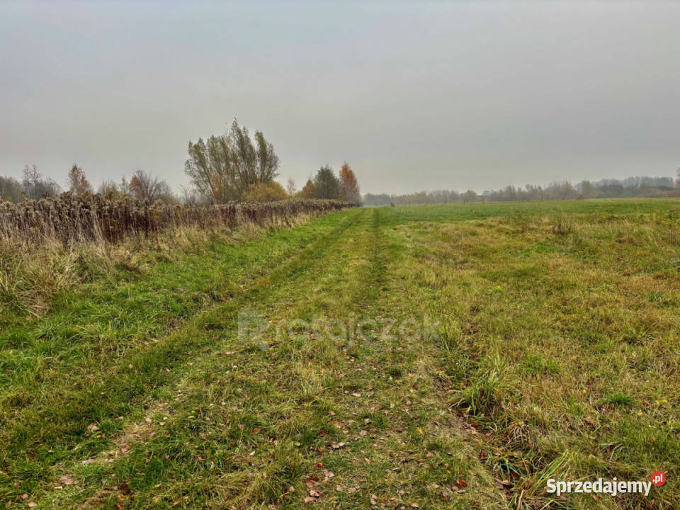 Działka 3356m2 Drewnica Zielona 84m