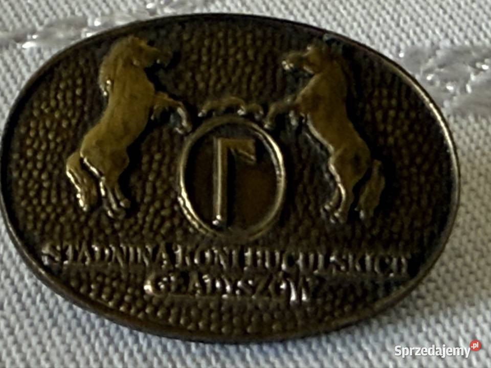 Metalowa Broszka Odznaka Stadnina Koni Czerwionka-Leszczyny sprzedam