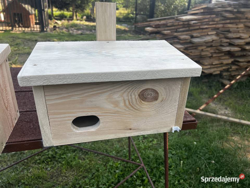 Budki lęgowe jerzyków ptaków Budki lęgowe i karniki Suchedniów