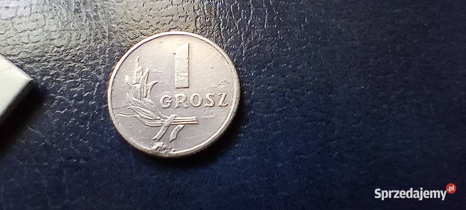 Stare monety 1 grosz 1949 PRL Polska destrukt Numizmatyka sprzedam