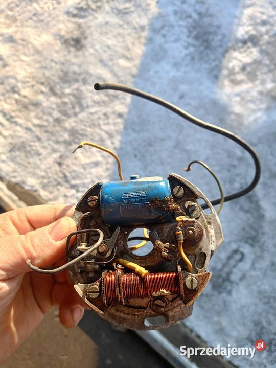 Zapłon Stefa komar podkarpackie Stalowa Wola