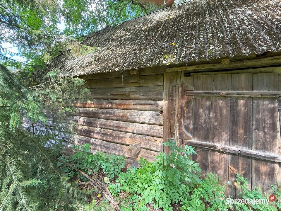 Stodola drewniana z bali do rorbiorki Wola Duża