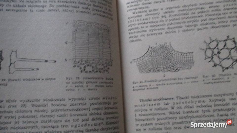 Botanika techników leśnych Obmiński botanika Łódź