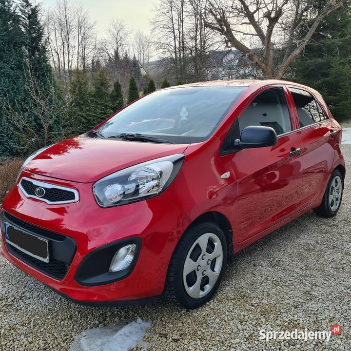 Kia Picanto Salon Polska 43 000 klimatyzacja świętokrzyskie Nowa Słupia